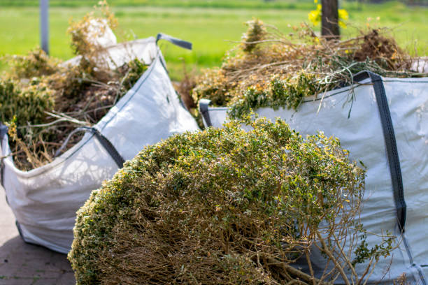 Watts Mills, SC Junk Removal Pros